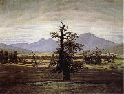 Caspar David Friedrich The Lone Tree